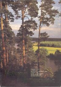 Пейзажи Подмосковья