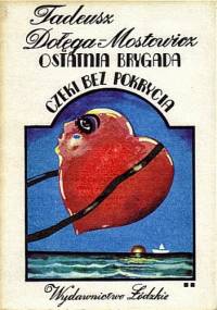 Ostatnia brygada. Czeki bez pokrycia - Tadeusz Dołęga-Mostowicz