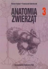 Anatomia zwierząt t. III - Franciszek Kobryńczuk, Henryk Kobryń
