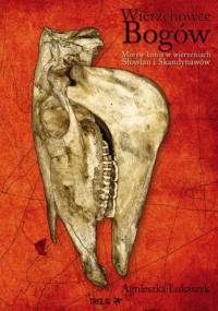 Wierzchowce Bogów. Motyw konia w wierzeniach i sztuce Słowian i Skandynawów - Agnieszka Łukaszyk