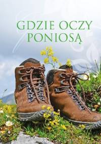 Gdzie oczy poniosą - Malwina Błażejczak