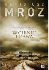 W cieniu prawa - Remigiusz Mróz