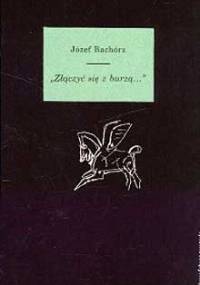 Złączyć się z burzą… Studia i szkice o romantycznych wyobrażeniach morza i egzotyki - Józef Bachórz