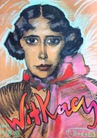 Witkacy. Stanisław Ignacy Witkiewicz - Beata Zgodzińska-Wojciechowska, Anna Żakiewicz
