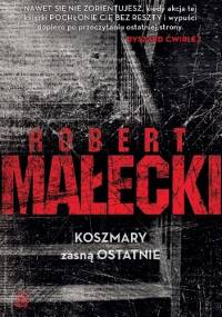 Koszmary zasną ostatnie - Robert Małecki