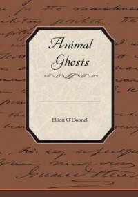 Animal Ghosts Or Animal Hauntings and the Hereafter - Elliott O'Donnell