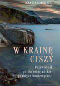W krainę ciszy. Przewodnik po chrześcijańskiej praktyce kontemplacji - Martin Laird OSA