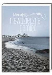 Niewdzięczna pamięć - J. Bernlef