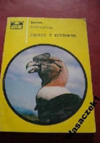 Pejzaż z kondorem - Roman Dobrzyński