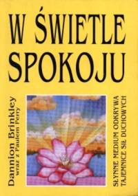 W świetle spokoju - Dannion Brinkley