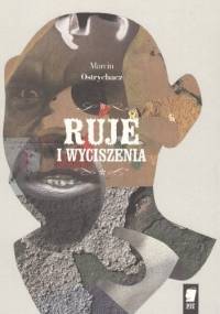 Ruje i wyciszenia - Marcin Ostrychacz