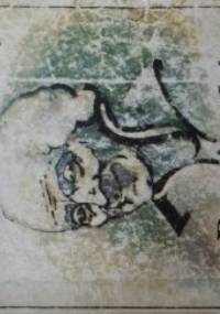 Wolter powiastki filozoficzne - Voltaire