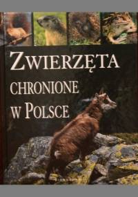 Zwierzęta chronione w Polsce - Agnieszka Bilińska, Włodek Biliński