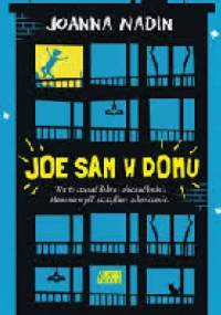 Joe sam w domu - Joanna Nadin