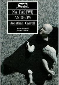 Na pastwę aniołów - Jonathan Carroll
