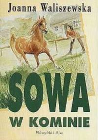 Sowa w kominie - Joanna Waliszewska