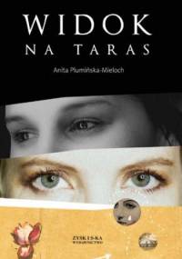 Widok na taras - Anita Plumińska-Mieloch