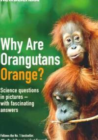 Why are Orangutans Orange?: Science puzzles in pictures - with fascinating answers - Mick O'Hare