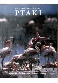 Ptaki - praca zbiorowa