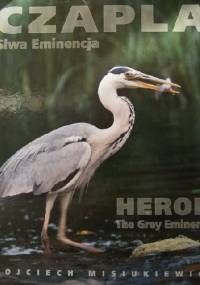 Czapla. Siwa eminencja - Wojciech Misiukiewicz
