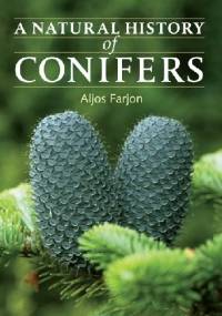 A Natural History of Conifers - Aljos Farjon