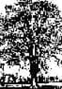 Mała encyklopedia psychologii głębi - Zenon Waldemar Dudek, Kazimierz Pajor