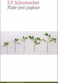 Małe jest piękne. Spojrzenie na gospodarkę świata z założeniem, że człowiek coś znaczy - Ernst Friedrich Schumacher