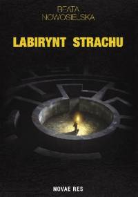 Labirynt strachu - Beata Nowosielska