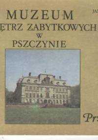 Muzeum Wnętrz Zabytkowych w Pszczynie. Przewodnik - Jan Kruczek, Janusz Ziembiński