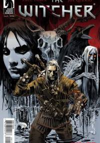 The Witcher #1
