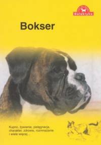 Bokser - Zespół Over Dieren