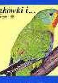 Łąkówki i... - Jadwiga Korczak