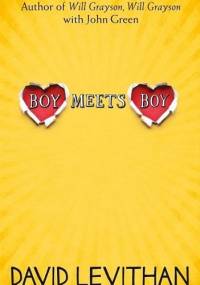 Boy meets boy - David Levithan