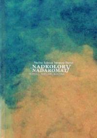 Nadkolory i nadaromaty. Schulz, Mueller, Blecher - Ireneusz Staroń, Paulina Subocz
