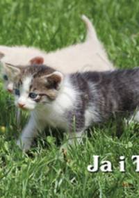 Ja i Ty. Perełka 137 - praca zbiorowa