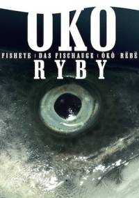 Oko Ryby. Impresje z Półwyspu Helskiego - praca zbiorowa, Łukasz Klesyk