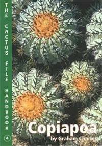 Copiapoa - Graham Charles