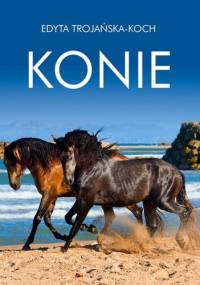 Konie - Edyta Trojańska-Koch