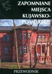 Zapomniane miejsca kujawsko-pomorskie. Przewodnik - Tomasz Stochmal