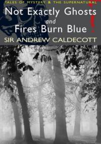 Not Exactly Ghosts and Fires Burn Blue - Andrew Caldecott