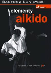 Elementy aikido - Bartosz Łuniewski