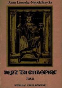 Wędrując przez równinę - Anna Lisowska-Niepokólczycka