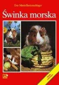 Świnka morska - Maria Eva Bartenschlager