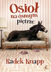 Osioł na ósmym piętrze - Radek Knapp
