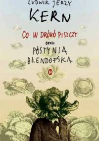 Co w drókó piszczy, czyli Póstynia Błendofska - Ludwik Jerzy Kern