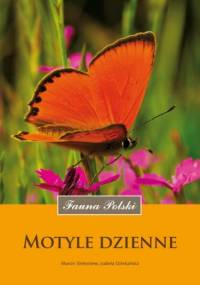 Motyle dzienne - Marcin Piotr Sielezniew, Izabela Dziekańska