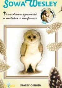Sowa Wesley - Stacey O'Brien