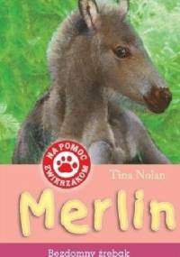 Merlin. Bezdomny źrebak - Tina Nolan