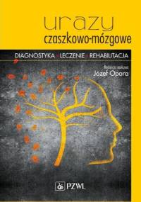 Urazy czaszkowo-mózgowe. Diagnostyka. Leczenie . Rehabilitacja