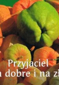 Przyjaciel na dobre i na złe. Perełka 176 - praca zbiorowa